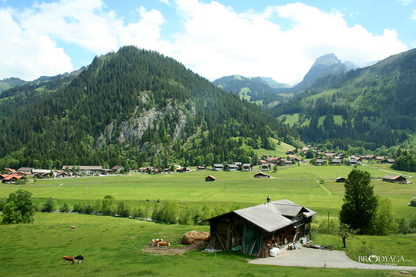 Golden Pass